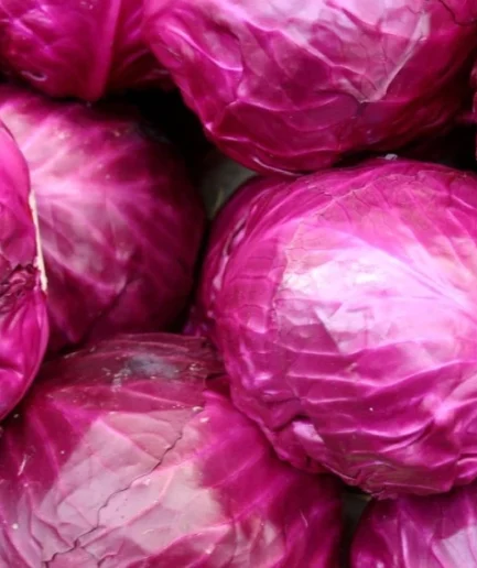 red cabbage ball