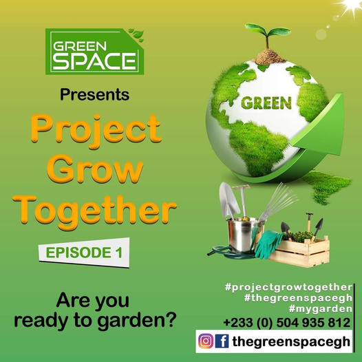 PROJECT GROW TOGETHER GREEN SPACE GHANA