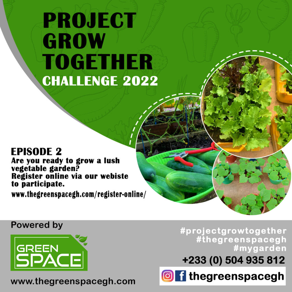 project grow together 2022, home gardening annual program