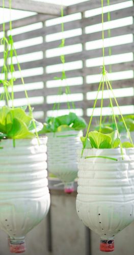 container garden vertical by Green Space